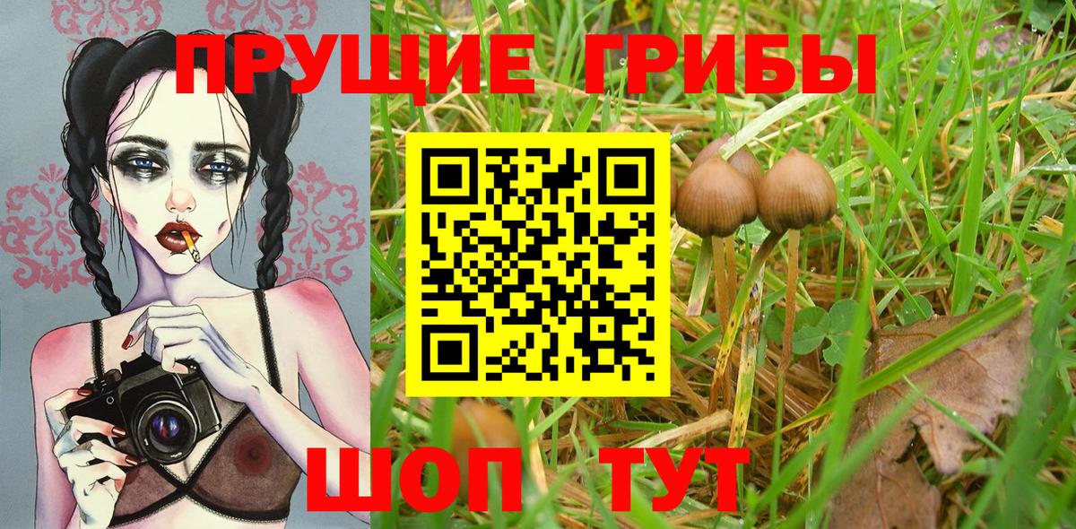 Галлюциногенные грибы Magic Shrooms Лабинск