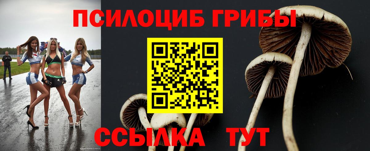 Псилоцибиновые грибы мухоморы  Вход с VPN  Галлюциногенные грибы MAGIC MUSHROOMS  Лабинск 